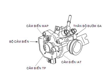 Cảm biến phun xăng FI